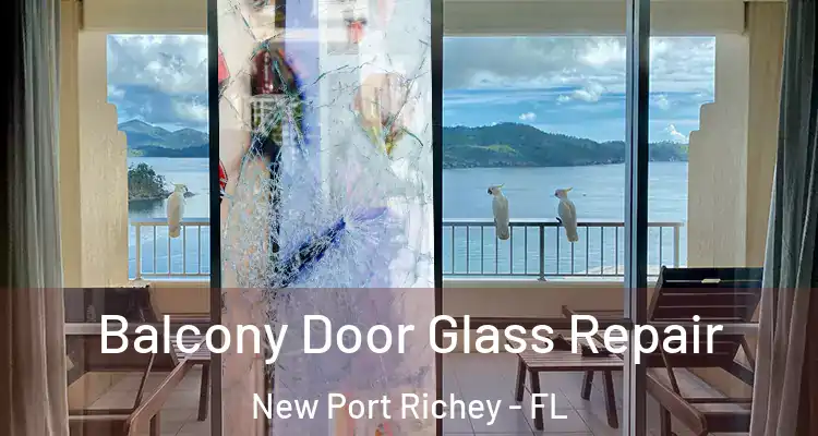  Balcony Door Glass Repair New Port Richey - FL