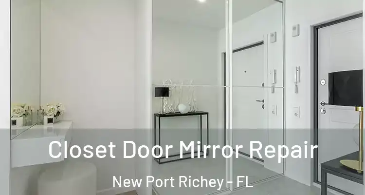  Closet Door Mirror Repair New Port Richey - FL