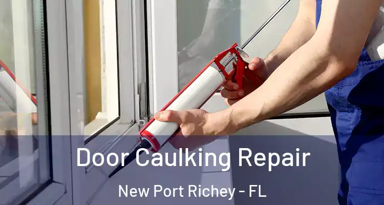  Door Caulking Repair New Port Richey - FL