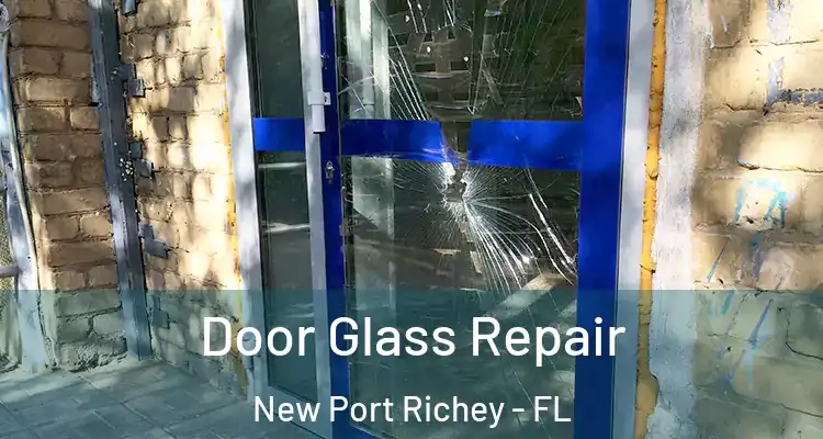  Door Glass Repair New Port Richey - FL