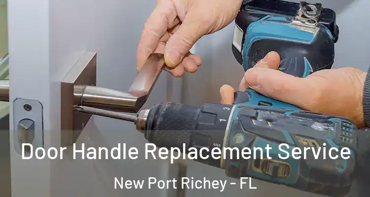 Door Handle Replacement Service New Port Richey - FL
