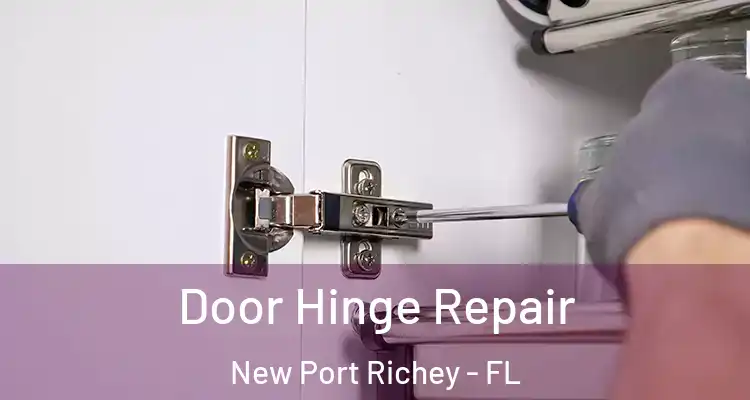  Door Hinge Repair New Port Richey - FL