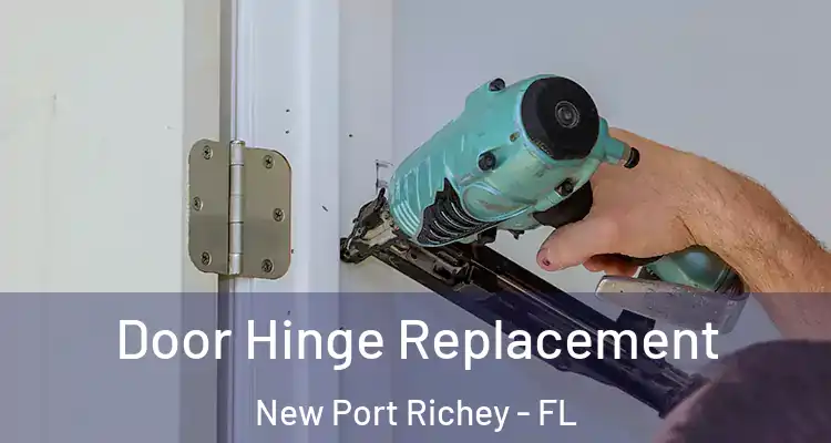  Door Hinge Replacement New Port Richey - FL