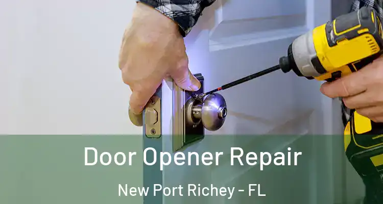  Door Opener Repair New Port Richey - FL