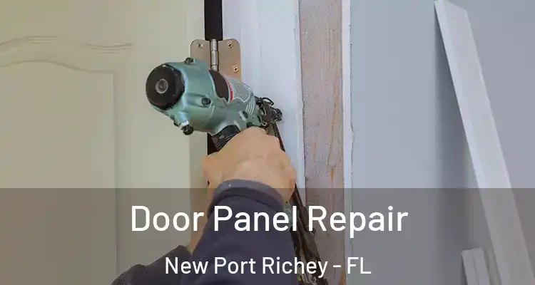  Door Panel Repair New Port Richey - FL