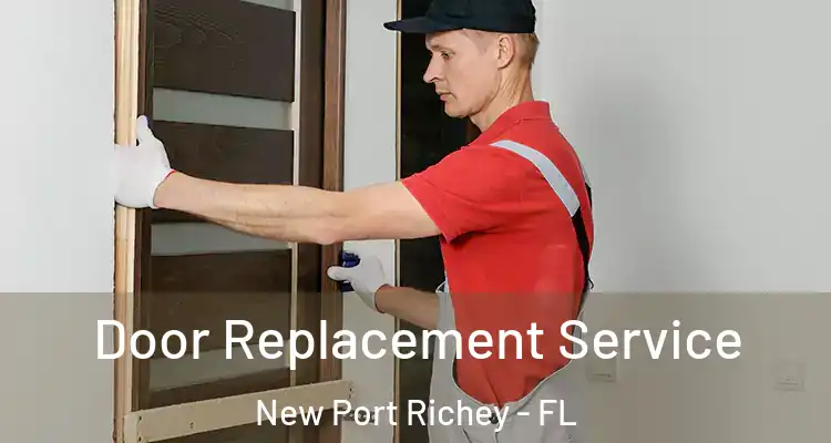  Door Replacement Service New Port Richey - FL
