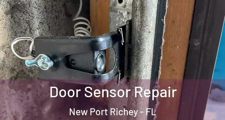  Door Sensor Repair New Port Richey - FL