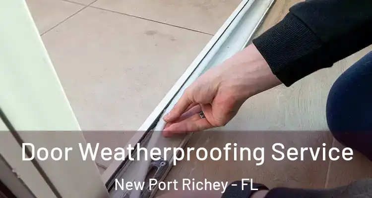  Door Weatherproofing Service New Port Richey - FL