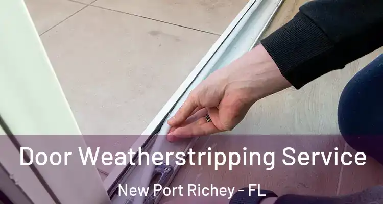  Door Weatherstripping Service New Port Richey - FL