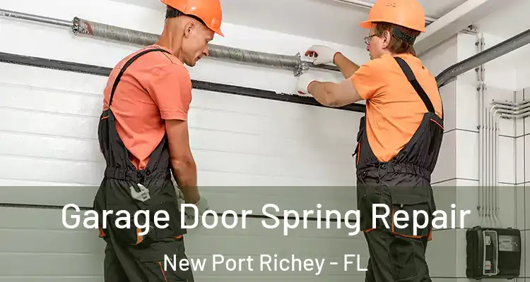  Garage Door Spring Repair New Port Richey - FL