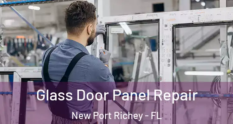  Glass Door Panel Repair New Port Richey - FL
