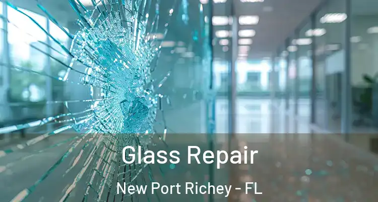  Glass Repair New Port Richey - FL
