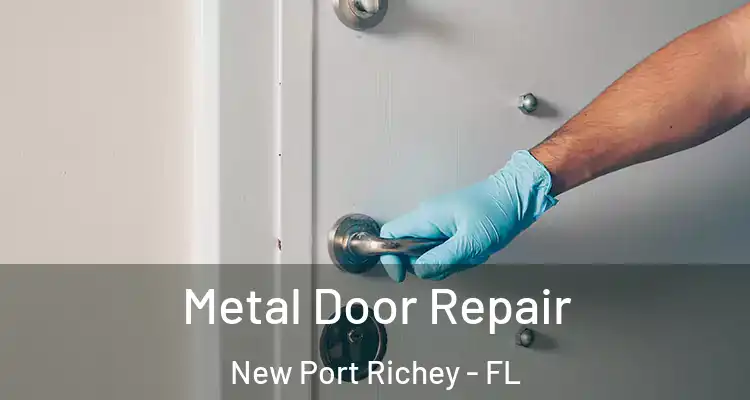  Metal Door Repair New Port Richey - FL