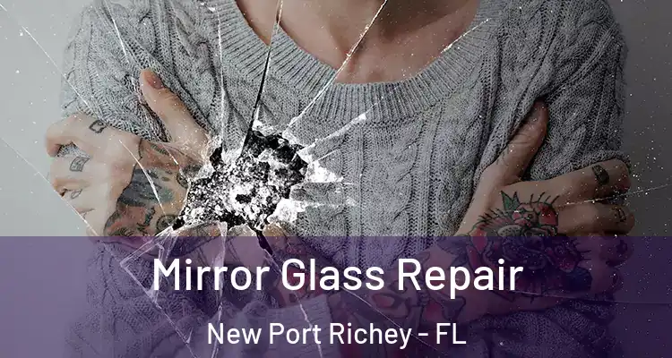  Mirror Glass Repair New Port Richey - FL