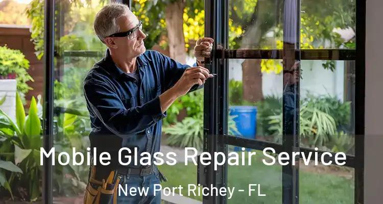  Mobile Glass Repair Service New Port Richey - FL