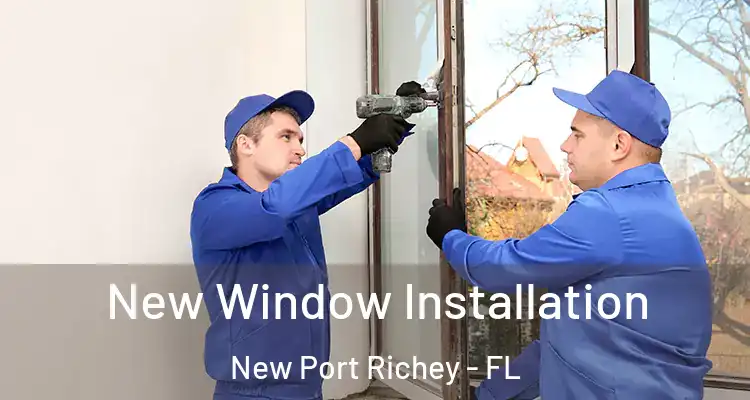  New Window Installation New Port Richey - FL