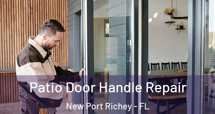  Patio Door Handle Repair New Port Richey - FL