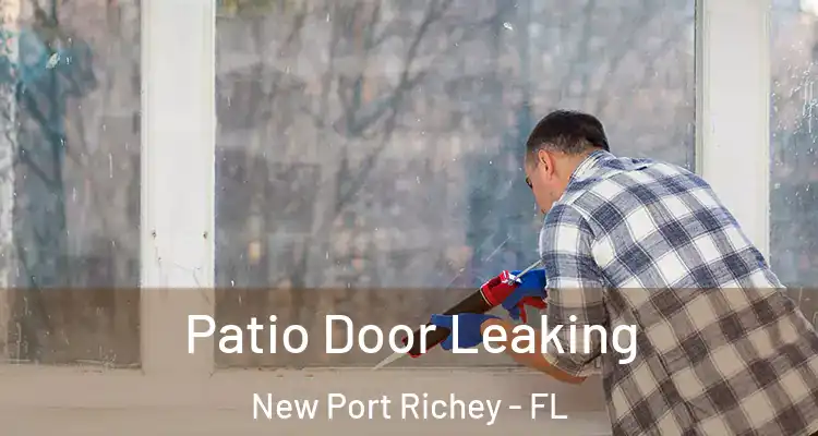  Patio Door Leaking New Port Richey - FL