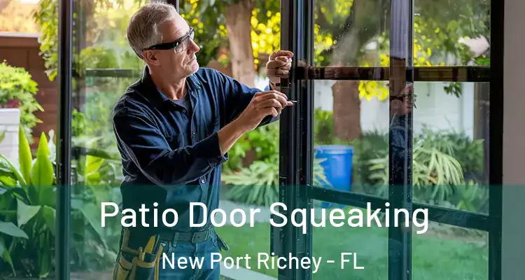  Patio Door Squeaking New Port Richey - FL