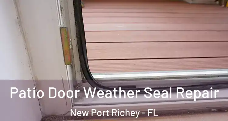  Patio Door Weather Seal Repair New Port Richey - FL