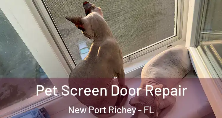 Pet Screen Door Repair New Port Richey - FL