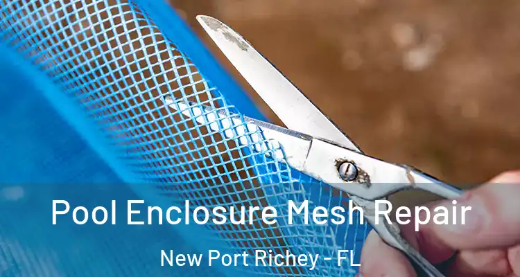  Pool Enclosure Mesh Repair New Port Richey - FL