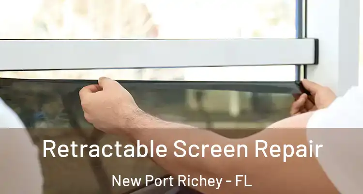  Retractable Screen Repair New Port Richey - FL