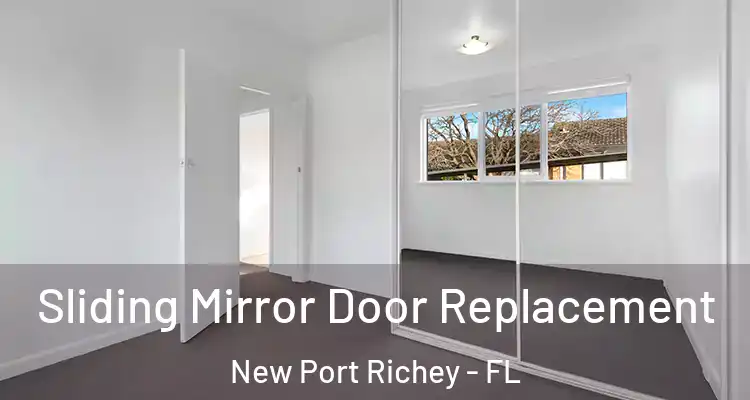  Sliding Mirror Door Replacement New Port Richey - FL