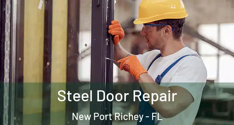  Steel Door Repair New Port Richey - FL