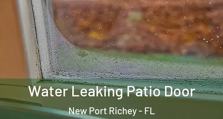  Water Leaking Patio Door New Port Richey - FL