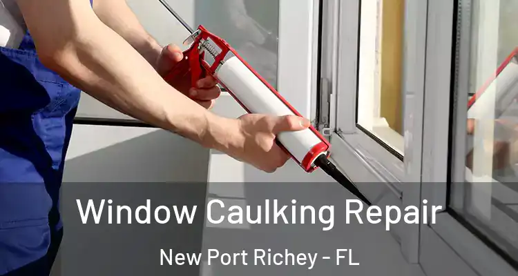  Window Caulking Repair New Port Richey - FL